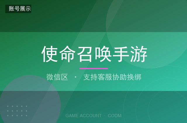 使命召唤手游 微信区 传说武器 全解锁 高段位