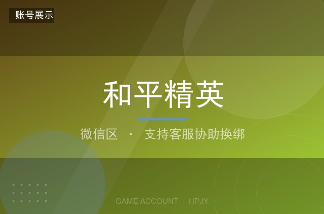 和平精英 微信区 玛莎拉蒂 满级战令 稀有枪皮
