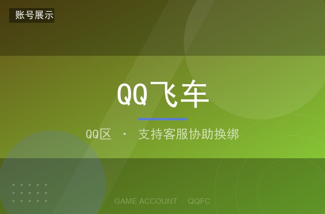 QQ飞车 QQ区 S 车 12 辆 满改装
